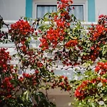 Kompleks wypoczynkowy Drymades Adults Only 4*