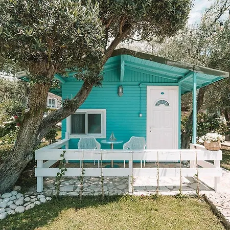 Drymades Adults Only 4*