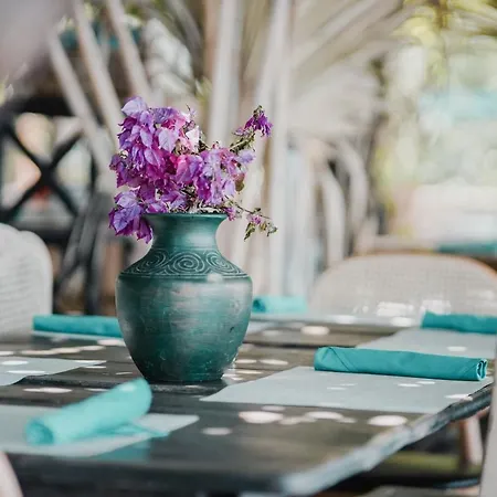 Drymades Adults Only Village de vacances