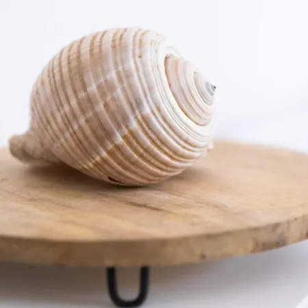 Drymades Adults Only