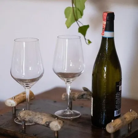 Drymades Adults Only