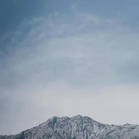 Drymades Adults Only 4*