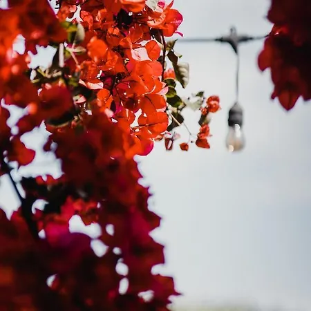 Drymades Adults Only Village de vacances Dhërmi