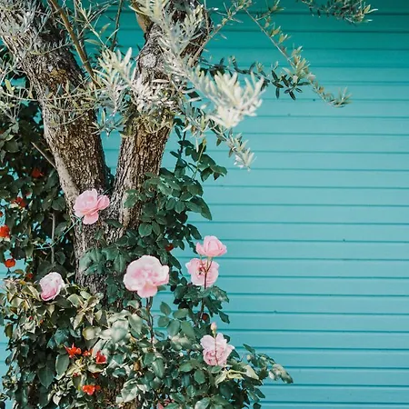 Drymades Adults Only Village de vacances