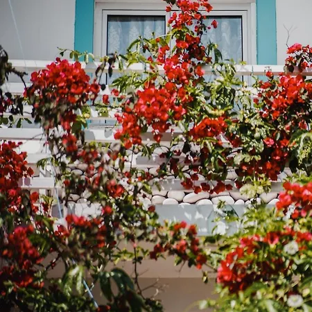 Πάρκο διακοπών Drymades Adults Only 4*