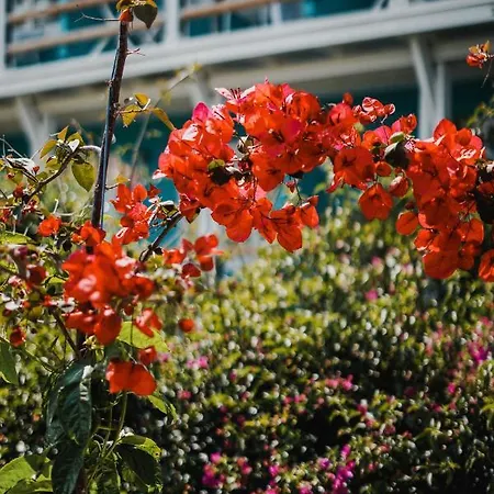 Village de vacances Drymades Adults Only