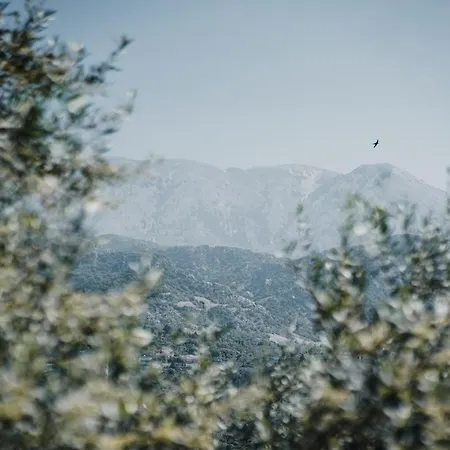 Drymades Adults Only Village de vacances 4*