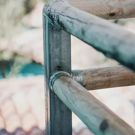 Drymades Adults Only