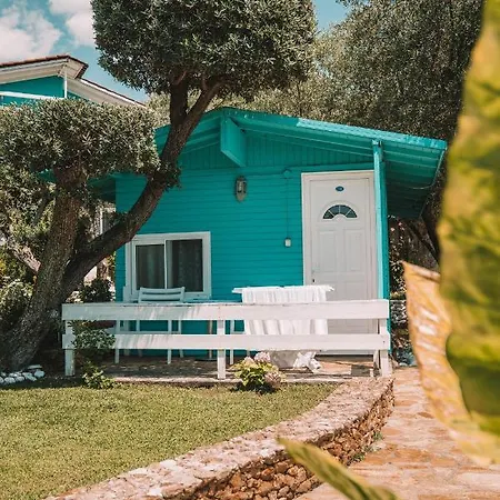 Drymades Adults Only 4*