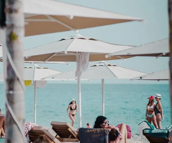 Drymades Adults Only 4*