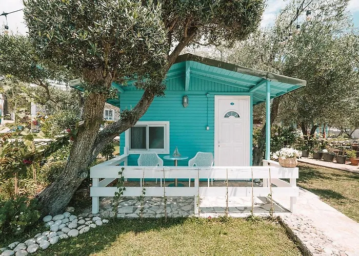 Drymades Adults Only 4*