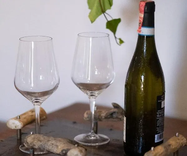 Drymades Adults Only