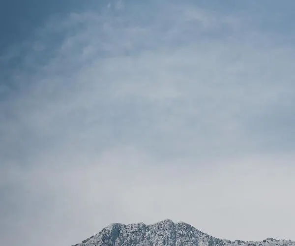 Drymades Adults Only 4*