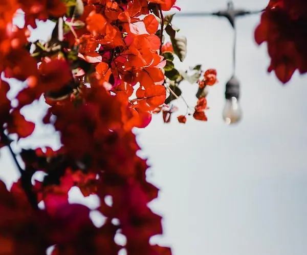 Drymades Adults Only Tatil parkı Dhërmi