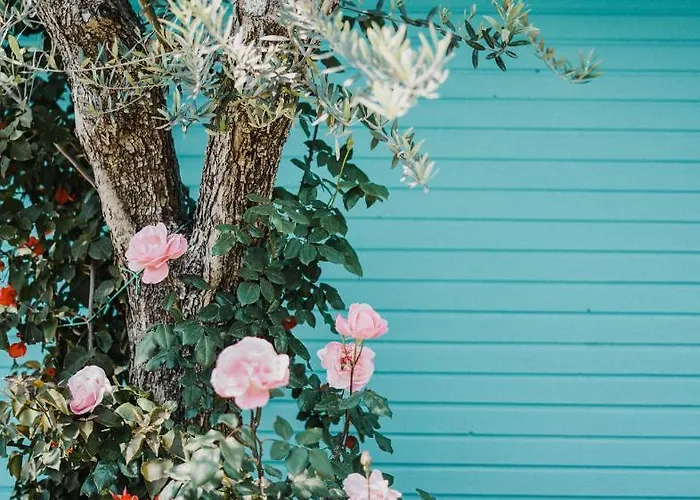 Drymades Adults Only Vakantiepark