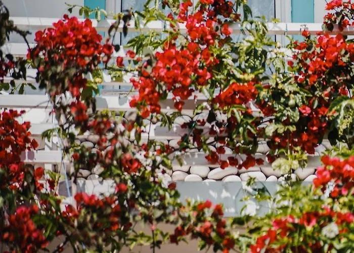 Tatil parkı Drymades Adults Only 4*