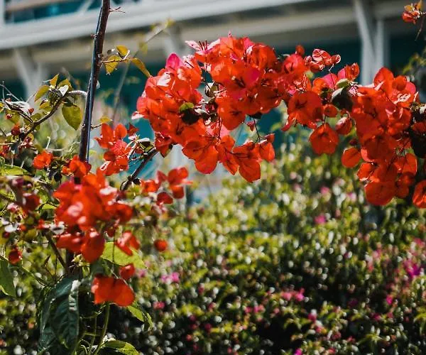 Tatil parkı Drymades Adults Only