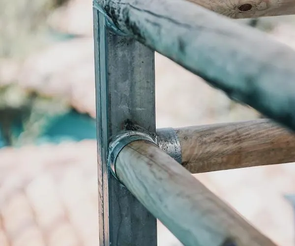 Drymades Adults Only