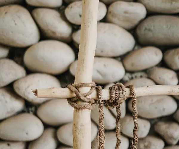 Drymades Adults Only