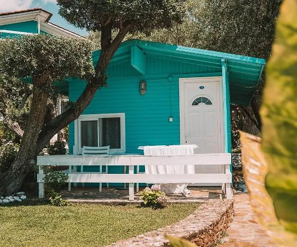 Drymades Adults Only 4*